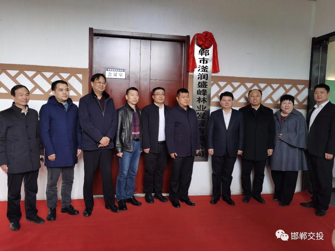 峰峰礦區儲備林PPP工程項目公司正式掛牌成立！